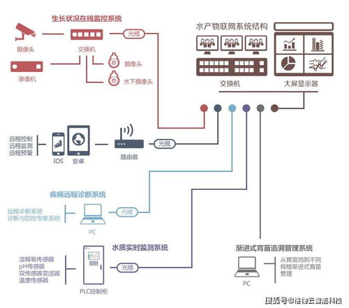智慧農(nóng)業(yè)新引擎 物聯(lián)網(wǎng)解決方案與網(wǎng)絡(luò)系統(tǒng)集成的融合實踐