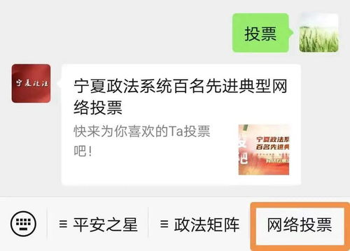 寧夏政法系統(tǒng)百名先進典型網(wǎng)絡(luò)投票活動正式啟動，誠邀公眾踴躍參與