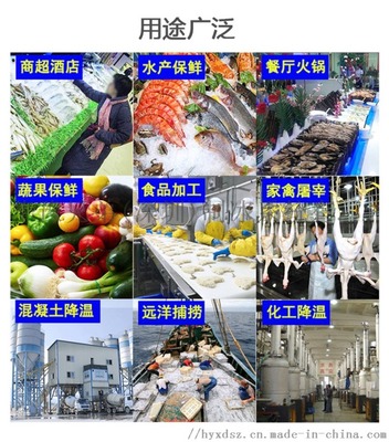 商用片冰機（500公斤/天） 餐飲業(yè)高效運營與品質保障的制冰利器